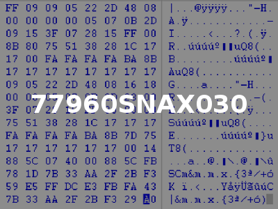 77960SNAX030
