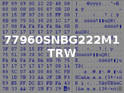 77960SNBG222M1 TRW