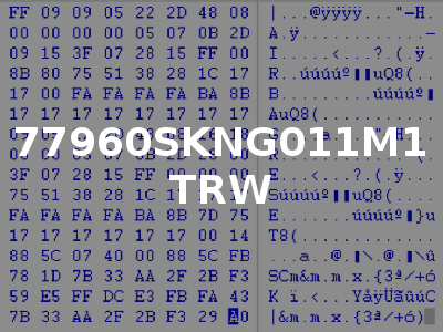 77960SKNG011M1 TRW