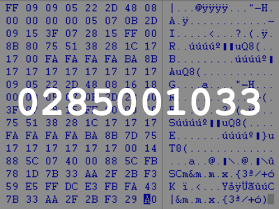 0285001033