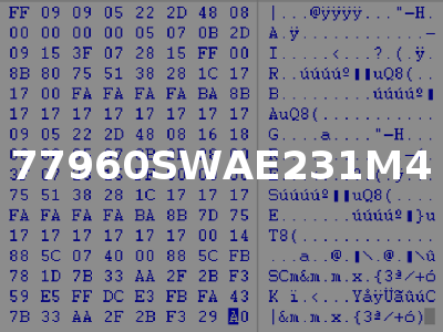 77960SWAE231M4