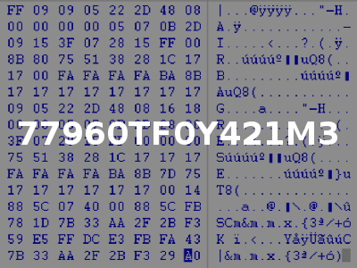 77960TF0Y421M3
