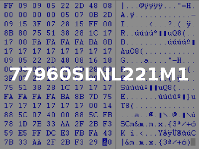 77960SLNL221M1
