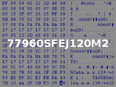 77960SFEJ120M2