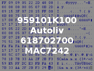959101K100 Autoliv 618702700