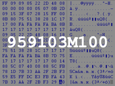 959103M100