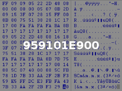 959101E900