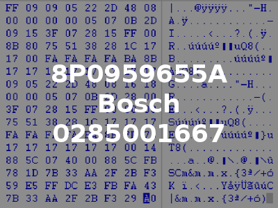 8P0959655A Bosch 0285001667