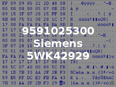 9591025300 Siemens 5WK42929