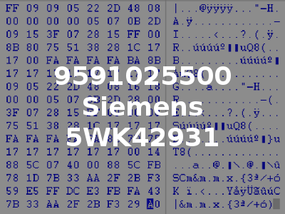 9591025500 Siemens 5WK42931
