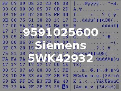 9591025600 Siemens 5WK42932
