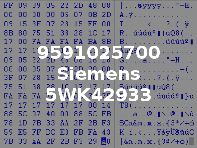 9591025700 Siemens 5WK42933