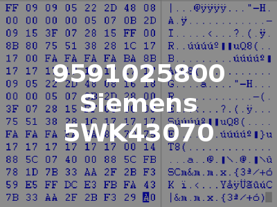 9591025800 Siemens 5WK43070