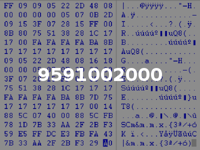 9591002000