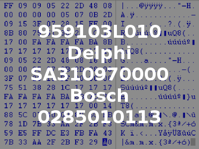 959103L010 Delphi SA310970000 Bosch 0285010113