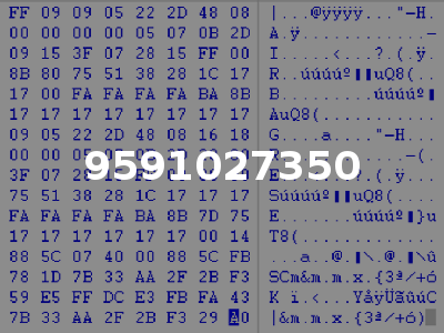 9591027350