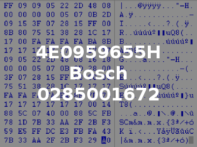 4E0959655H Bosch 0285001672