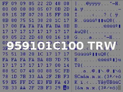 959101C100 TRW