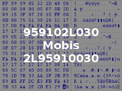 959102L030 Mobis 2L95910030