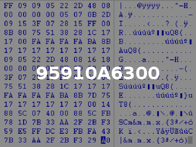 95910A6300