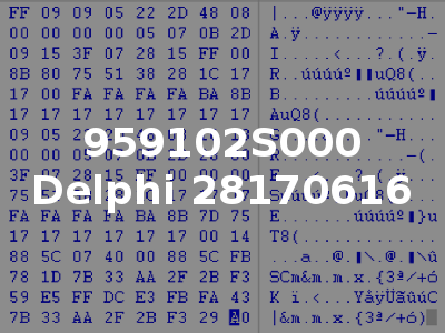 959102S000 Delphi 28170616