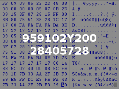 959102Y200 28405728
