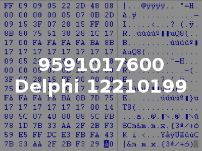 9591017600 Delphi 12210199