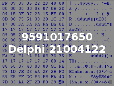 9591017650 Delphi 21004122