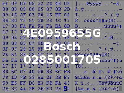 4E0959655G Bosch 0285001705
