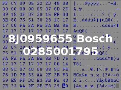 8J0959655 Bosch 0285001795