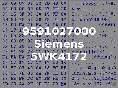 9591027000 Siemens 5WK4172
