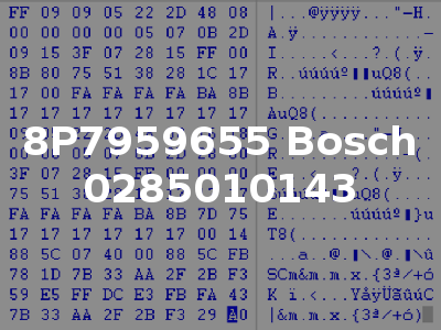 8P7959655 Bosch 0285010143