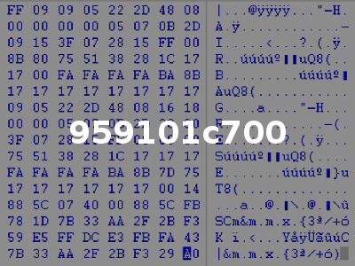 959101c700