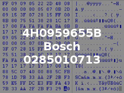 4H0959655B Bosch 0285010713