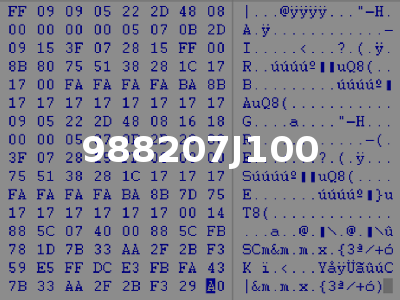 988207J100