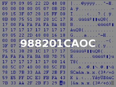 988201CAOC
