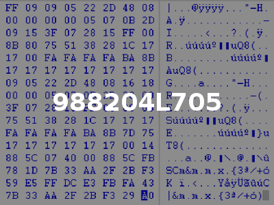 988204L705