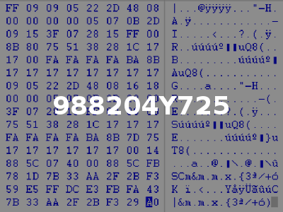 988204Y725