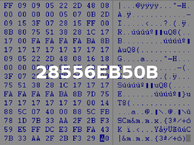 28556EB50B