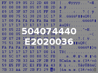 504074440 E2020036