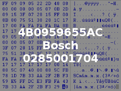 4B0959655AC Bosch 0285001704