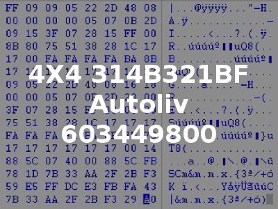4X4 314B321BF Autoliv 603449800