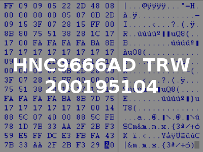 HNC9666AD TRW 200195104