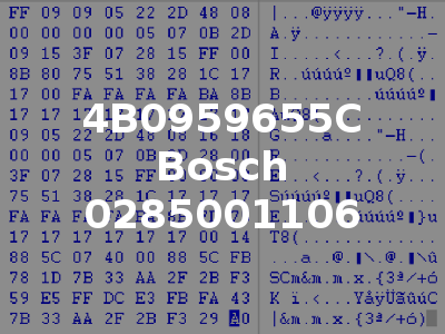 4B0959655C Bosch 0285001106