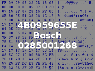 4B0959655E Bosch 0285001268