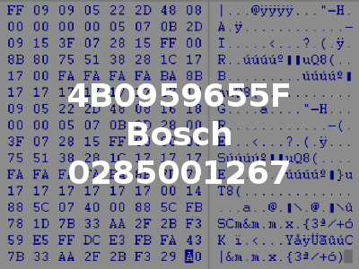 4B0959655F Bosch 0285001267