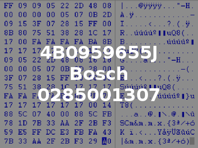 4B0959655J Bosch 0285001307