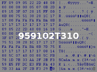 959102T310