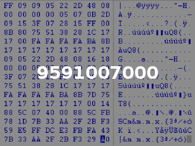 9591007000