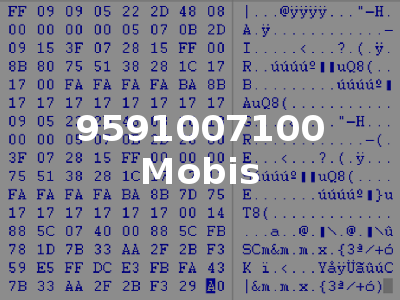 9591007100 Mobis
